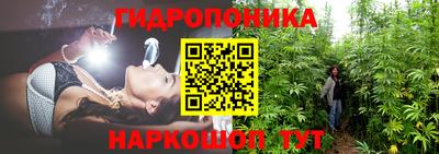 ALPHA PVP Заволжье
