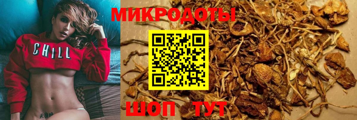 Псилоцибиновые грибы ЛСД  Вход с VPN  Нальчик 