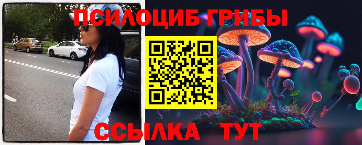 Галлюциногенные грибы MAGIC MUSHROOMS Нальчик